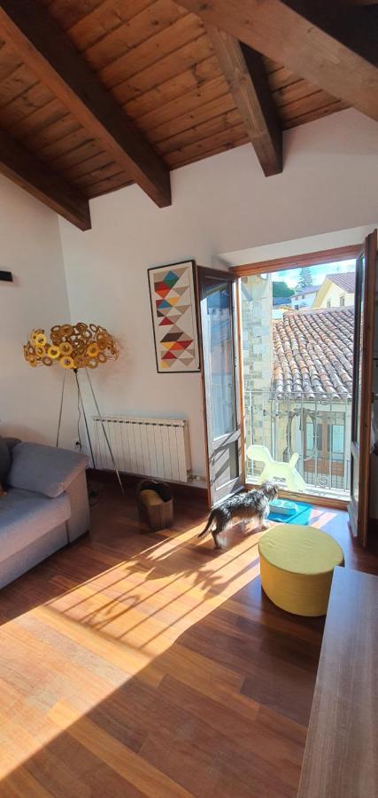 Ferienwohnung Cal Tranquil Camprodon, Acollidor Atic Al Centre Exterior foto