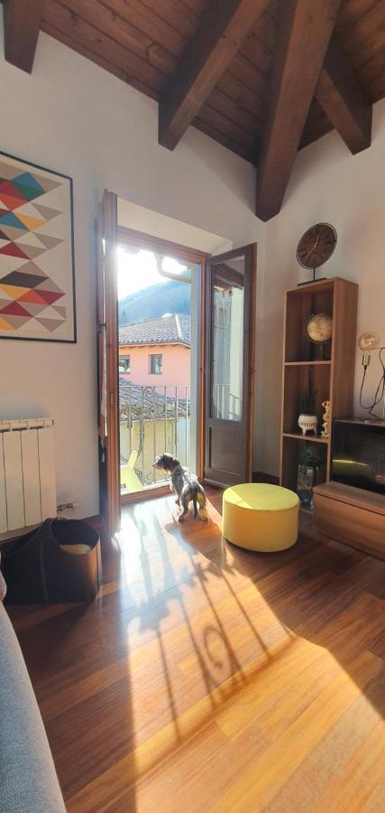 Ferienwohnung Cal Tranquil Camprodon, Acollidor Atic Al Centre Exterior foto